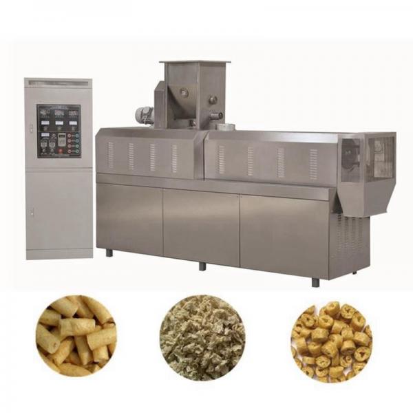 Vacuum Drying Equipment for Coconut Cream